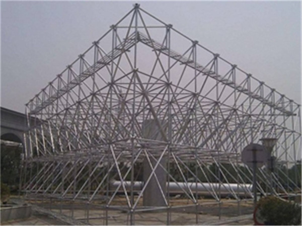 安国仓储物流网架加工厂家案例